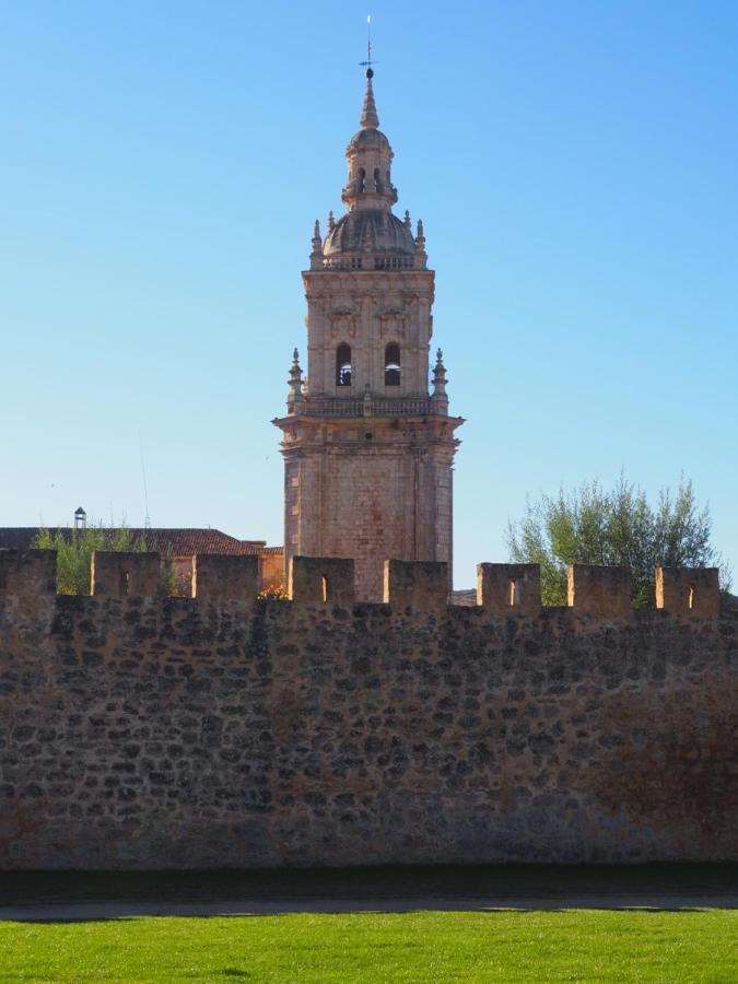 La Casona Del Zoilo -Los Arenales- El Burgo De Osma Esterno foto