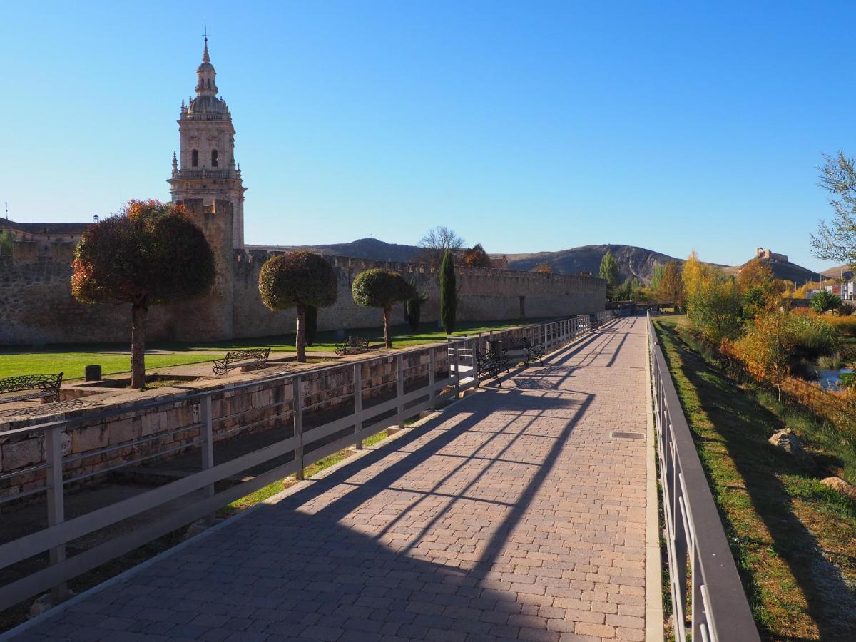 La Casona Del Zoilo -Los Arenales- El Burgo De Osma Esterno foto